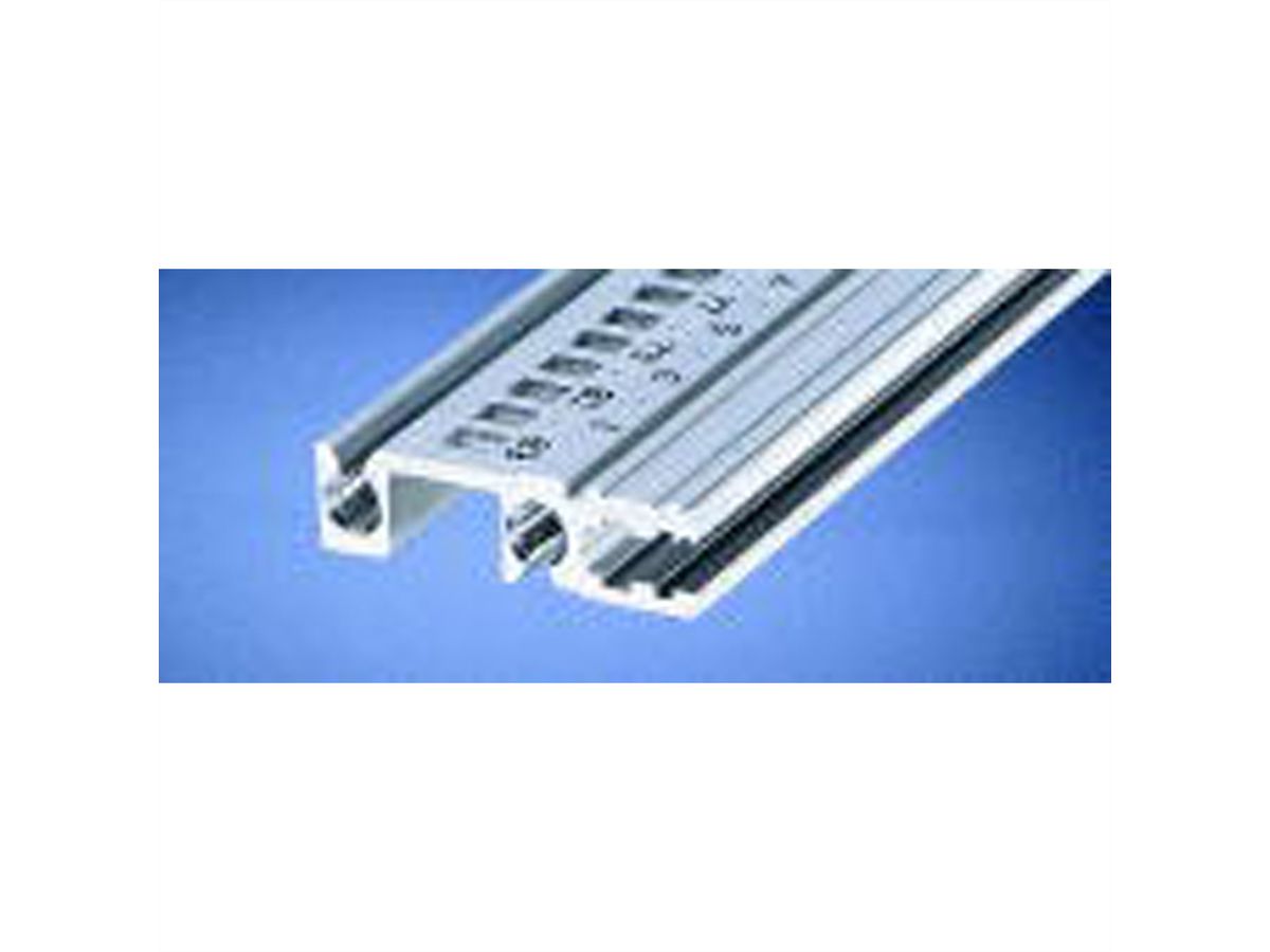 Rail horizontal SCHROFF, arrière, type H-VT, lourd, 42 HP