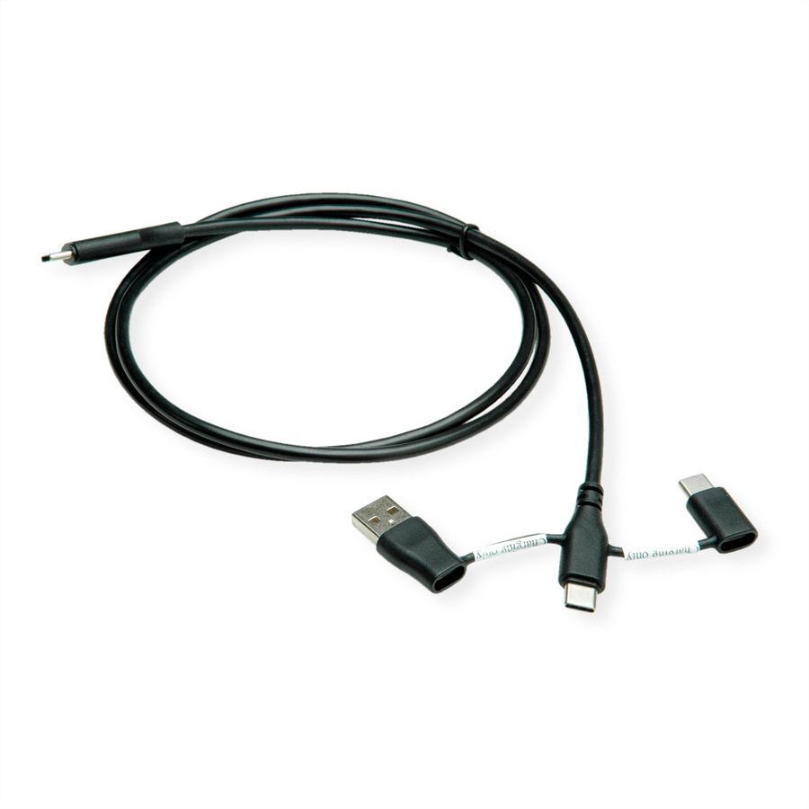 ROLINE Câble USB 2.0 type C, M/M, avec protecteur de données USB, type A+c, 1 m