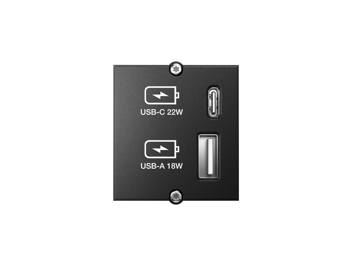 BACHMANN Module Custom USB Double-chargeur, noir