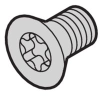 Vis à tête fraisée de SCHROFF, Torx M5x12 mm, acier, zingué, 4pcs