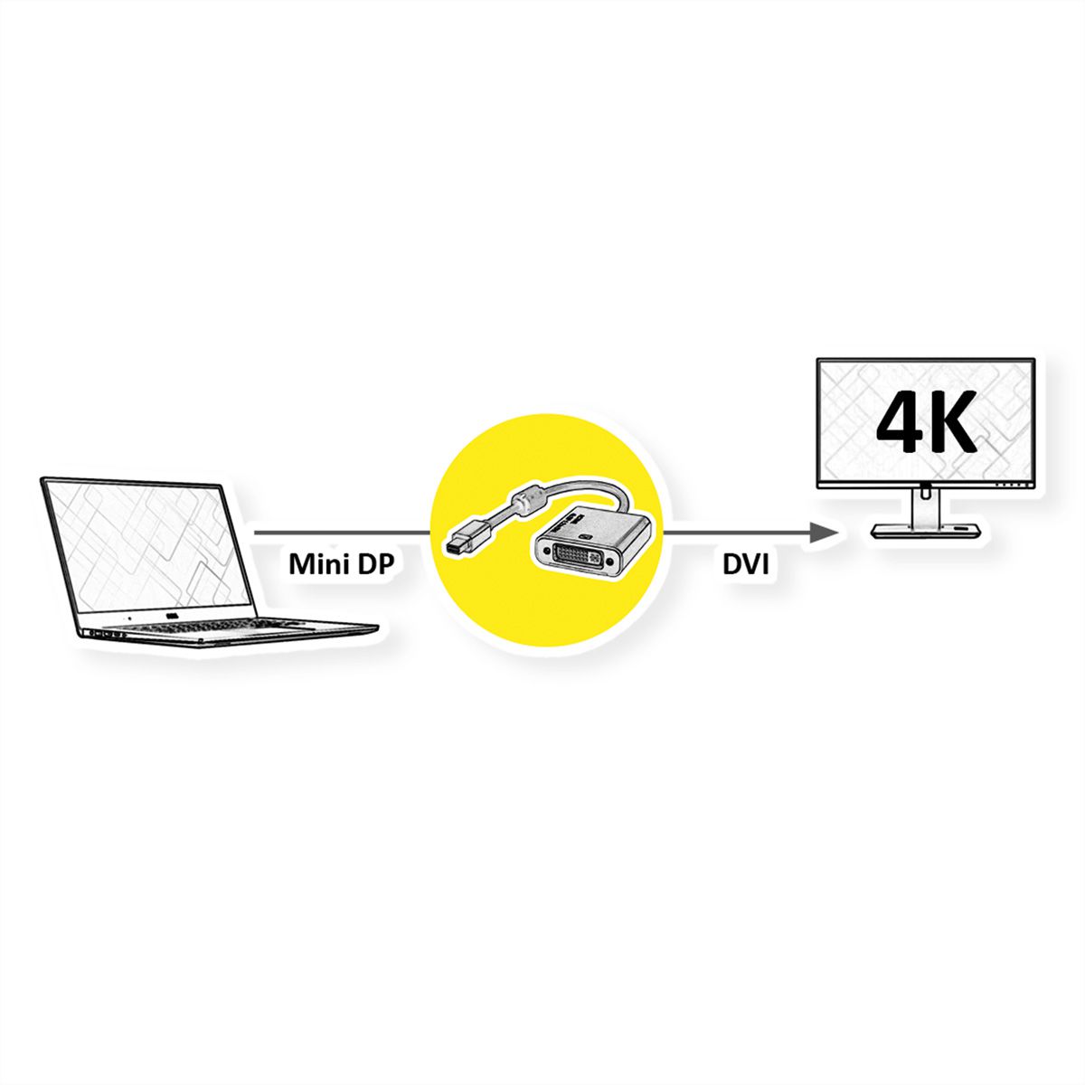 ROLINE GOLD 4K Adaptateur Mini DisplayPort-DVI, MiniDP M - DVI F