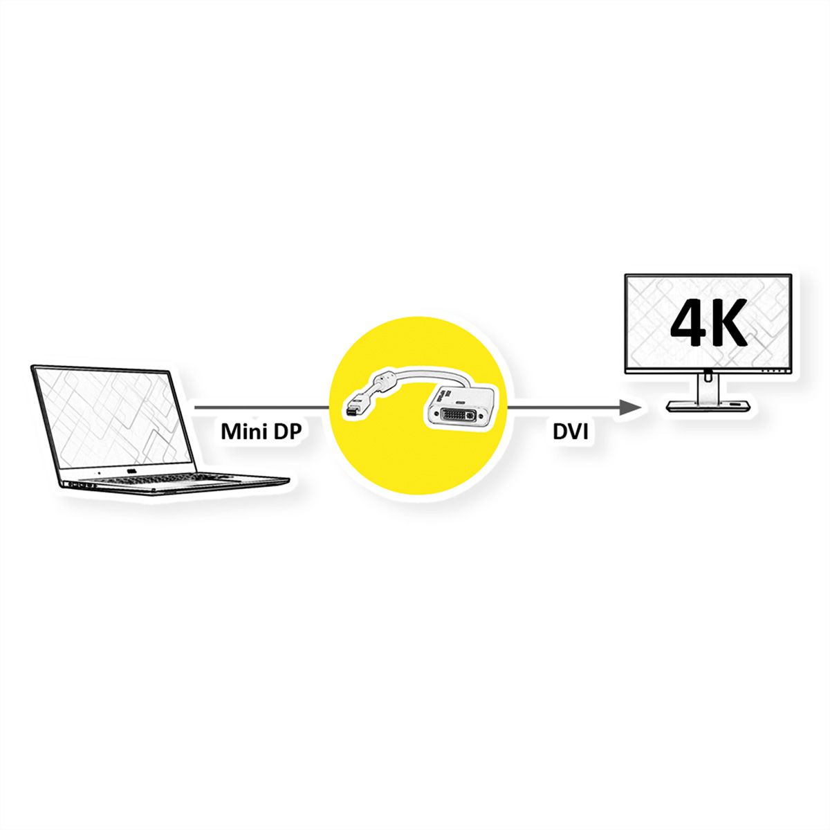 ROLINE 4K Adaptateur Mini DisplayPort-DVI, MiniDP M - DVI F