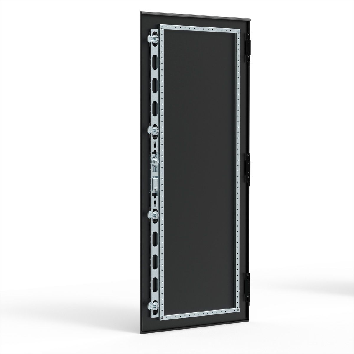 SCHROFF Porte acier CEM, IP55, multi-points