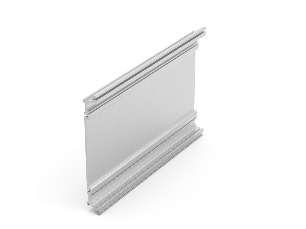 Panneau latéral extrudé de l'unité enfichable SCHROFF, 3 U, 160 mm, symétrique