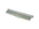 TELEGÄRTNER Panneau de brassage 19" MPP24, 1 UH, Cat.6A (Classe EA) (ISO/IEC), 24 ports, gris