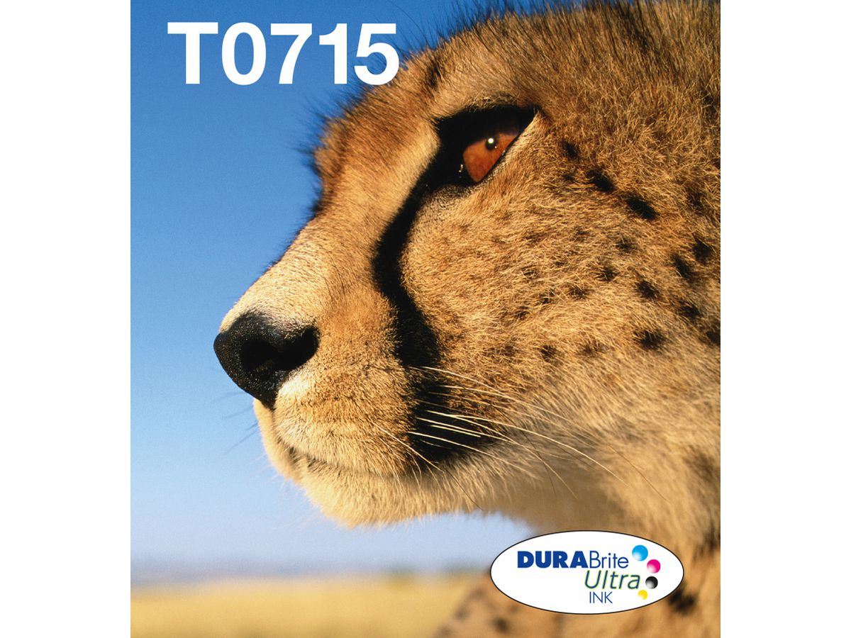 Epson Multipack 4-colours T071 EasyMail