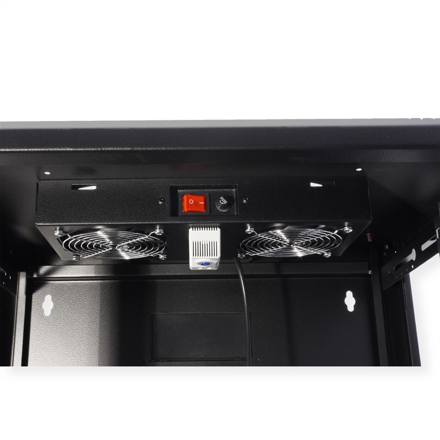 ROLINE Unité de ventilation 2 ventilateurs, thermostat , pour boîtier mural 19", noir