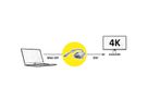 ROLINE GOLD 4K Adaptateur Mini DisplayPort-DVI, MiniDP M - DVI F, Retail Blister