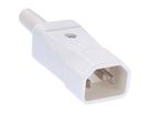 BACHMANN Conn. appareil froid 749 70°C, blanc