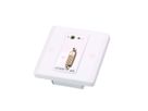 ATEN VE607 Système d'extension Cat 5 DVI/audio avec plaque murale MK
