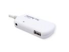 ATEN UE2120H Concentrateur d'extension USB 2.0 à 4 ports, gris, 12 m
