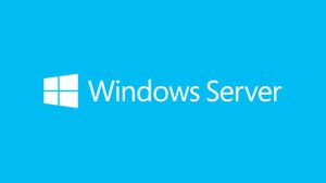 Microsoft Windows Server CAL 2019 Licence d'accès client 1 licence(s)