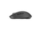 LOGITECH SIGNATURE M650 SOURIS 5 BOUTONS SANS FIL 2.4G/BT GRAPHITE