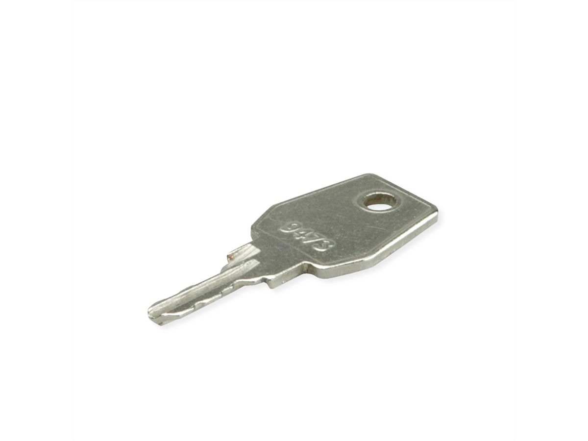 ROLINE Clé standard, pour baies et coffrets Basic & Pro