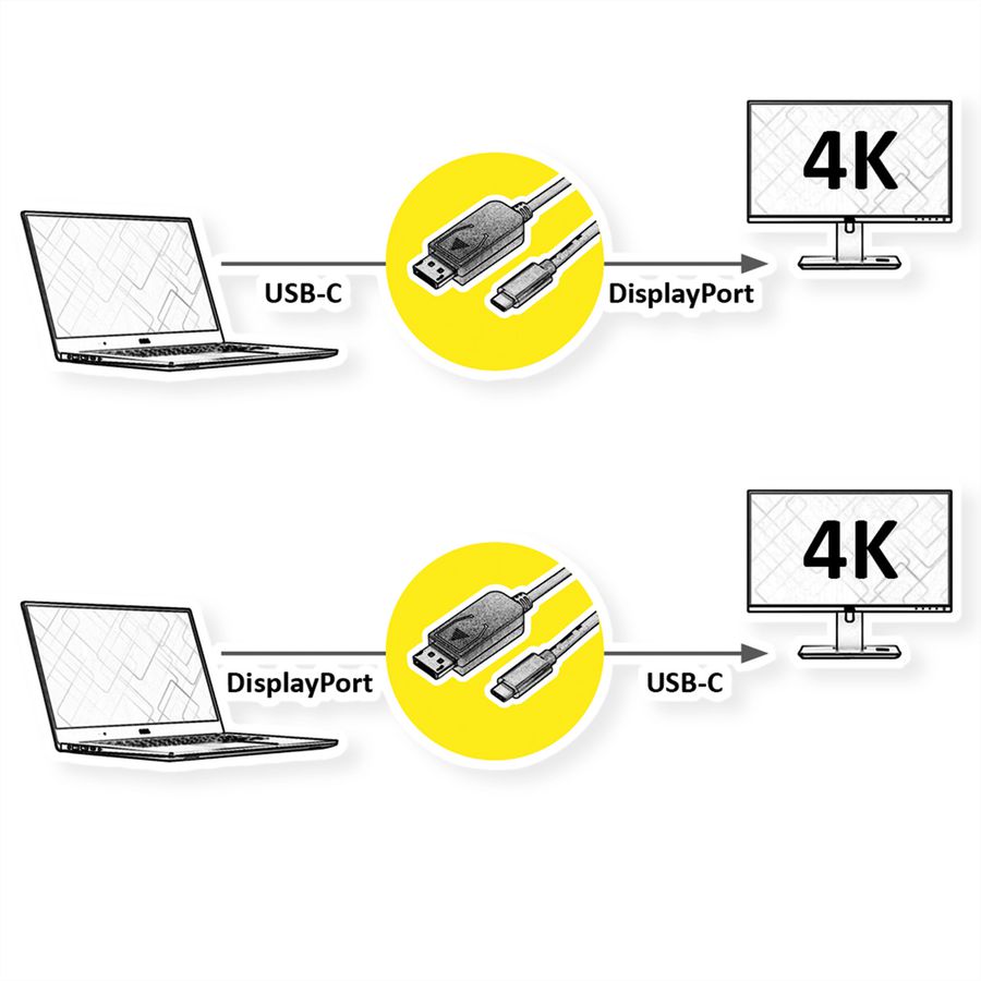 ROLINE Câble adaptateur USB-C - DisplayPort, v1.2, M/M, bidirectionnel, 2 m