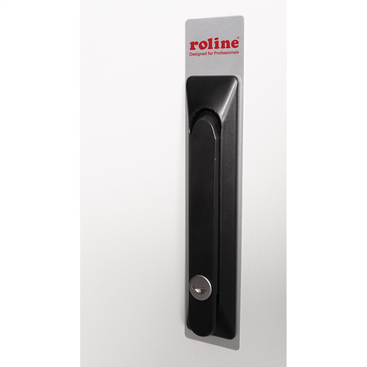 ROLINE 19" Boîtier mural Pro 12U, 600x450 LxP IP55 outdoor gris