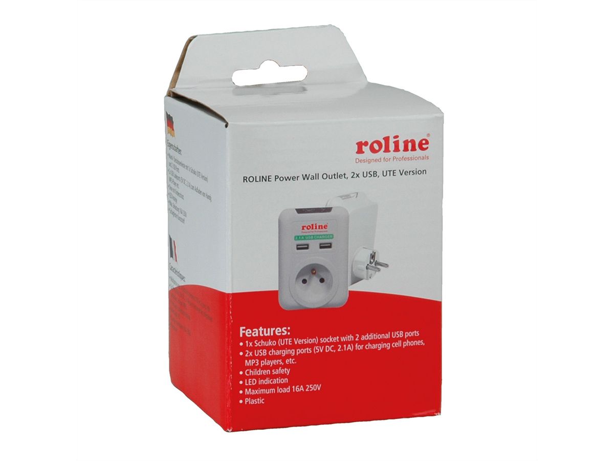 ROLINE Chargeur USB avec prise Euro, 2 ports, 2x C (PD), 100W, GaN - SECOMP  France