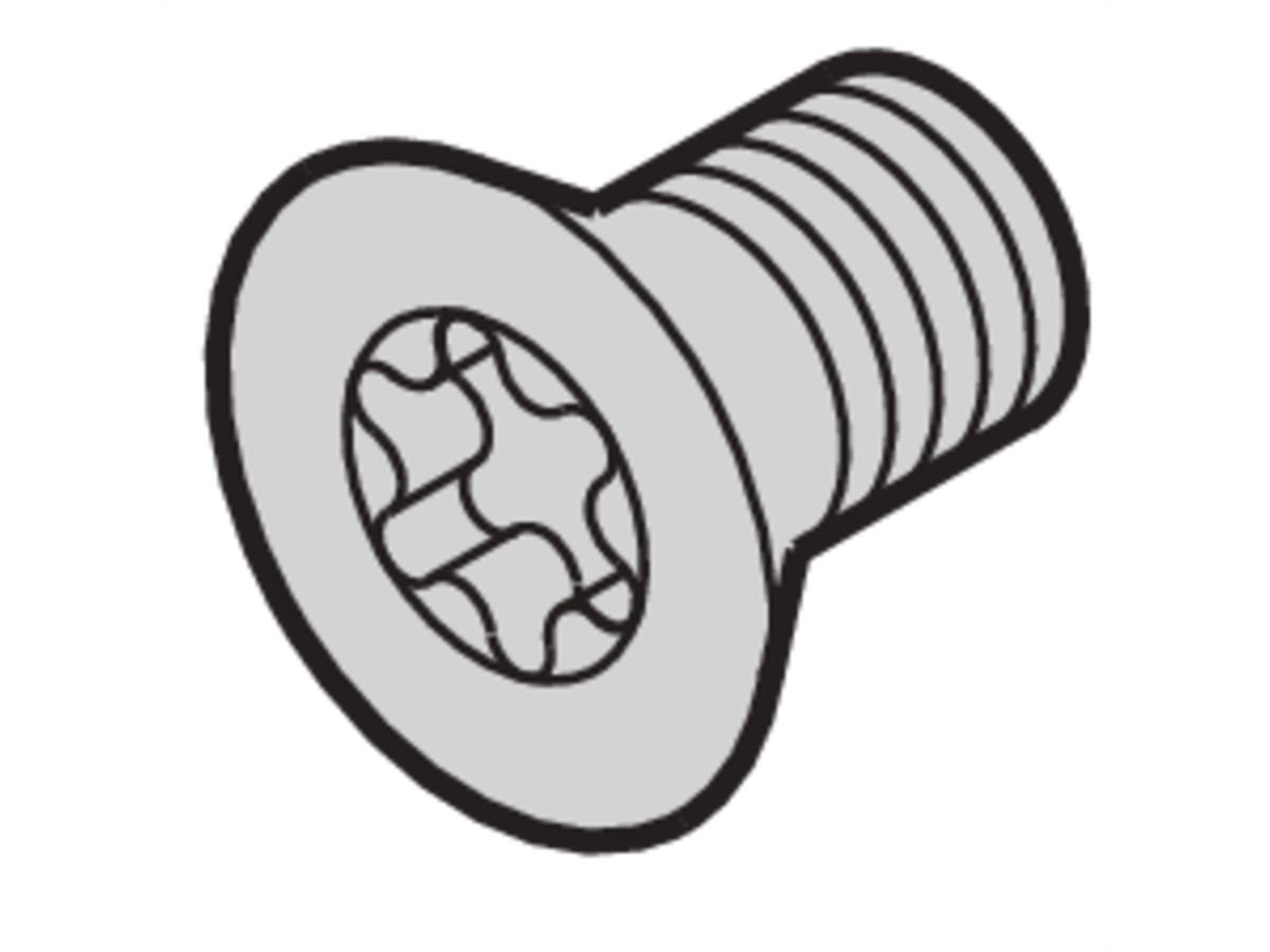 Vis à tête fraisée de SCHROFF, Torx M4x14 mm, acier zingué