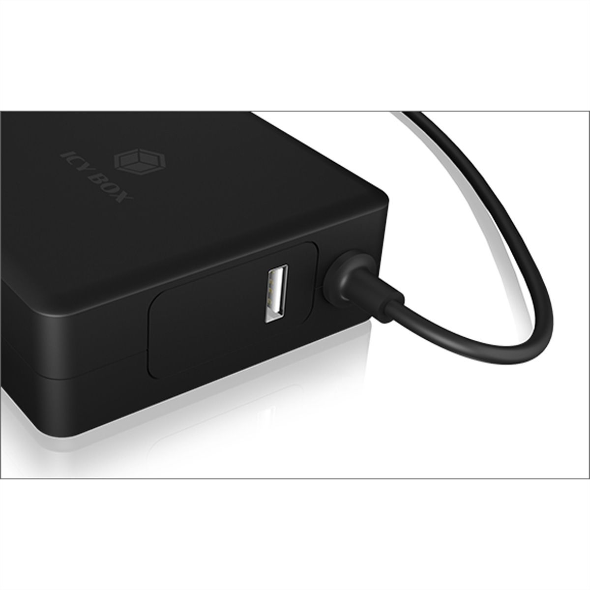 RaidSonic IB-PS101-PD Chargeur mâle avec PD 90 watts USB-C