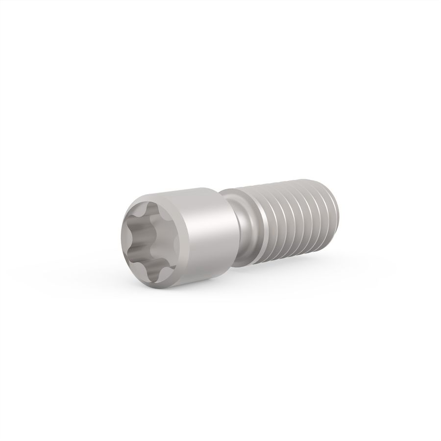 Vis sans tête SCHROFF, acier, M2.5 x 9, Torx 8