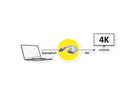 ROLINE GOLD 4K Adaptateur DisplayPort - DVI, DP M-DVI F