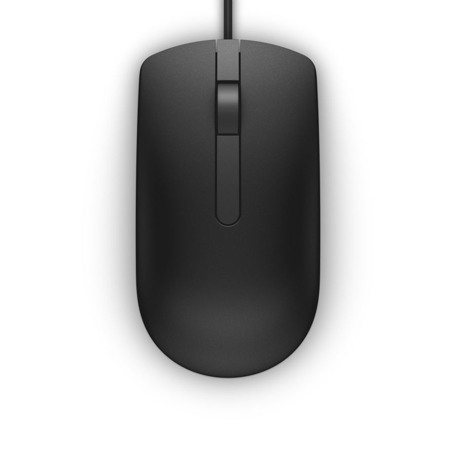 DELL MS116 souris Bureau Ambidextre USB Type-A Optique 1000 DPI