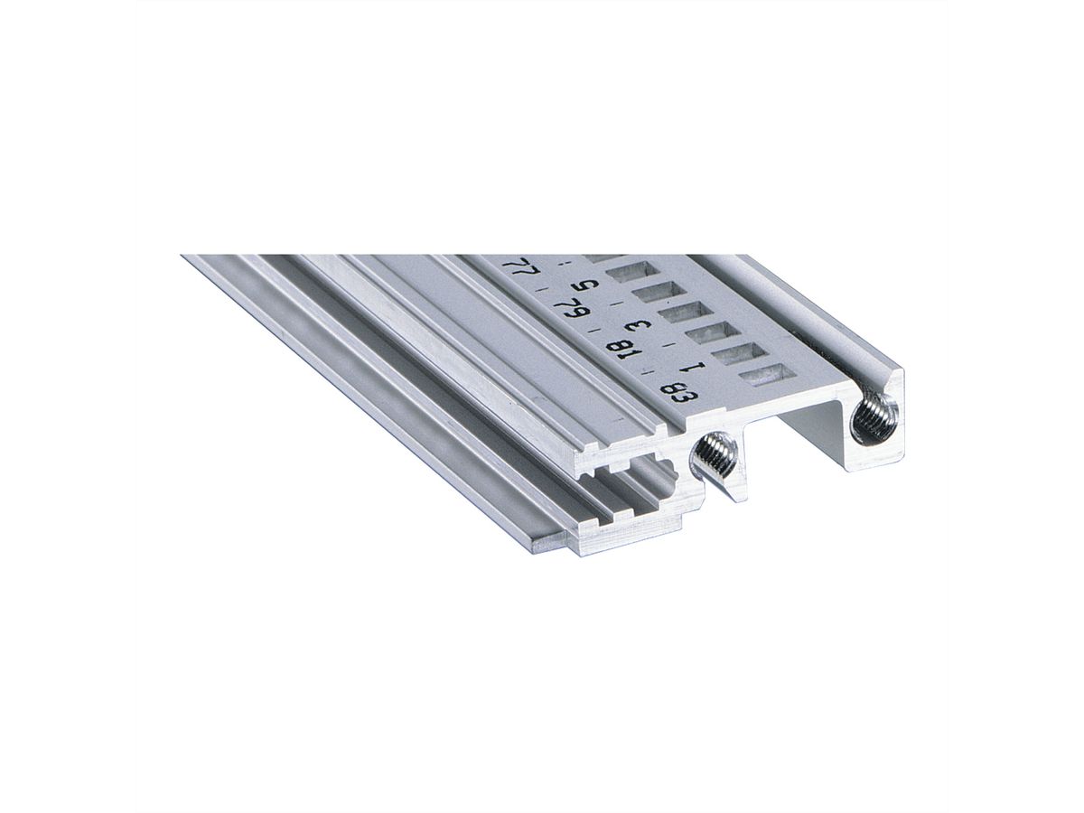 SCHROFF Devant de rail horizontal, Type H-KD, lourd, lèvre courte, 1000 mm