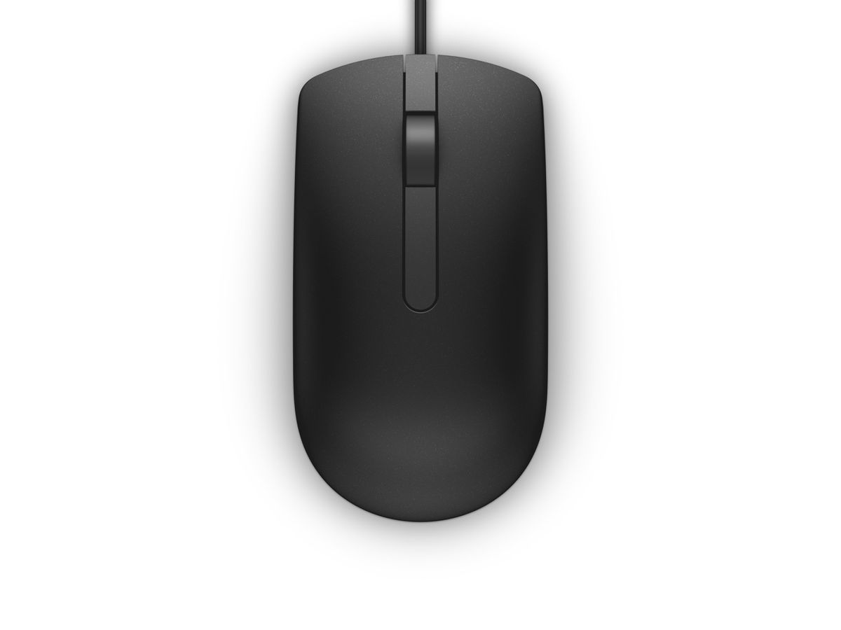 DELL MS116 souris Bureau Ambidextre USB Type-A Optique 1000 DPI