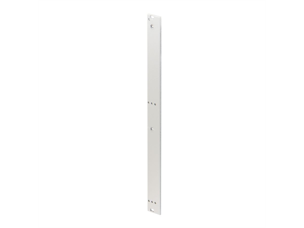 SCHROFF Unité enfichable, face avant, non blindée, pour poignée trapézoïdale statique, 6 U, 4 CV, 2,5 mm, alu, face avant anodisée, face arrière conductrice