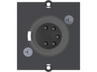 BACHMANN Module Custom 1 x fiche XLR, 5 pôles noir