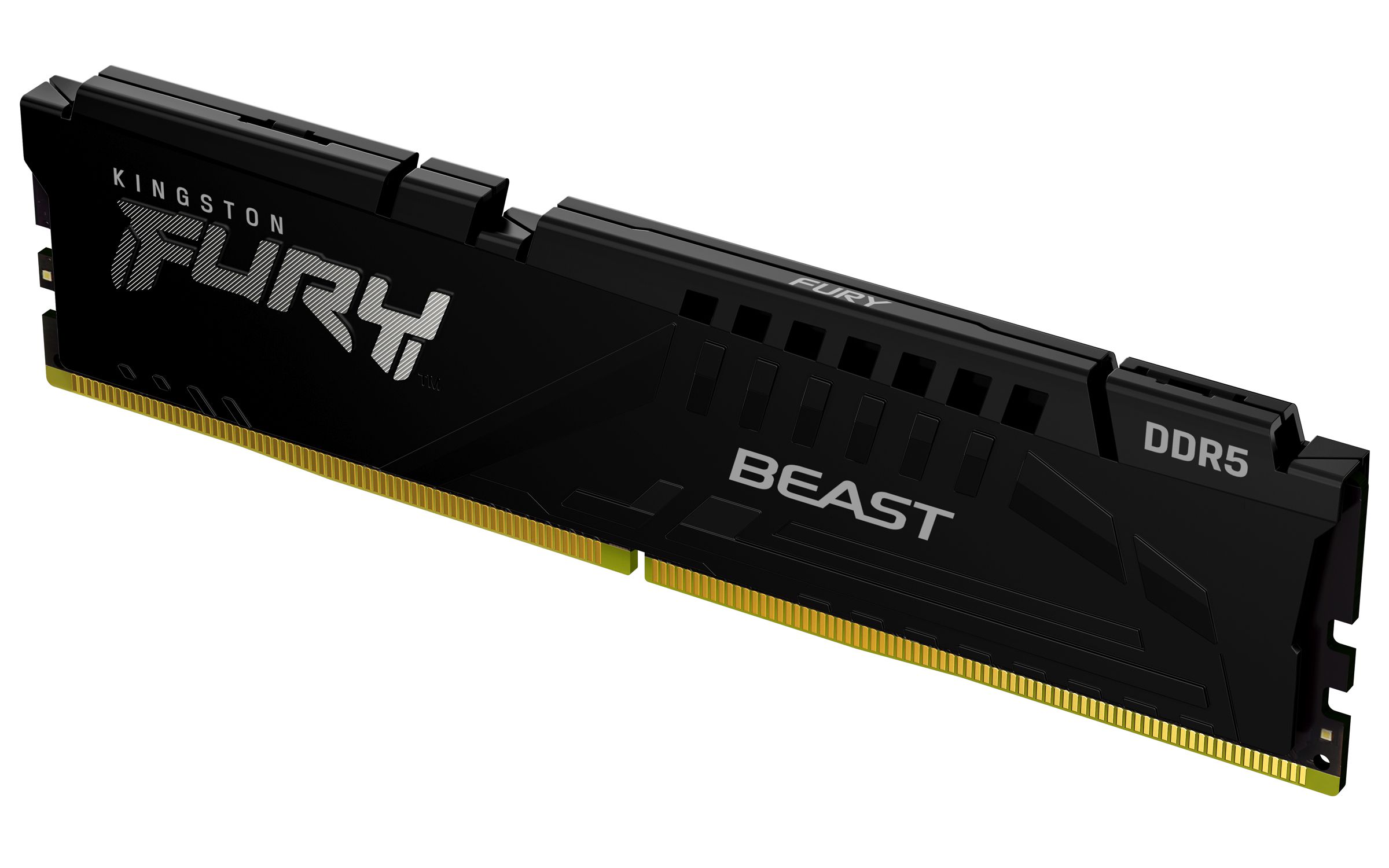Kingston Technology FURY Beast 16 Go 5200 MT/s DDR5 CL40 DIMM Black