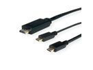 ROLINE Câble adaptateur type C - HDMI + USB C, M/M, 1 m