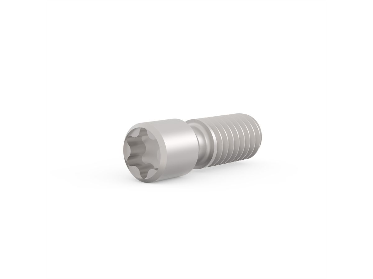 Vis sans tête SCHROFF, acier, M2.5 x 9, Torx 8