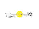 ROLINE Câble adaptateur RJ45 mâle vers bloc terminal, 15 cm