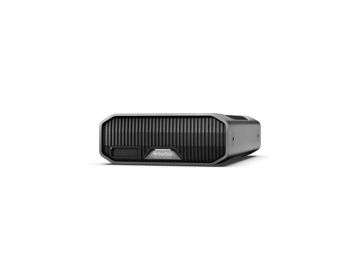 SanDisk G-DRIVE PROJECT disque dur externe 22 To Gris