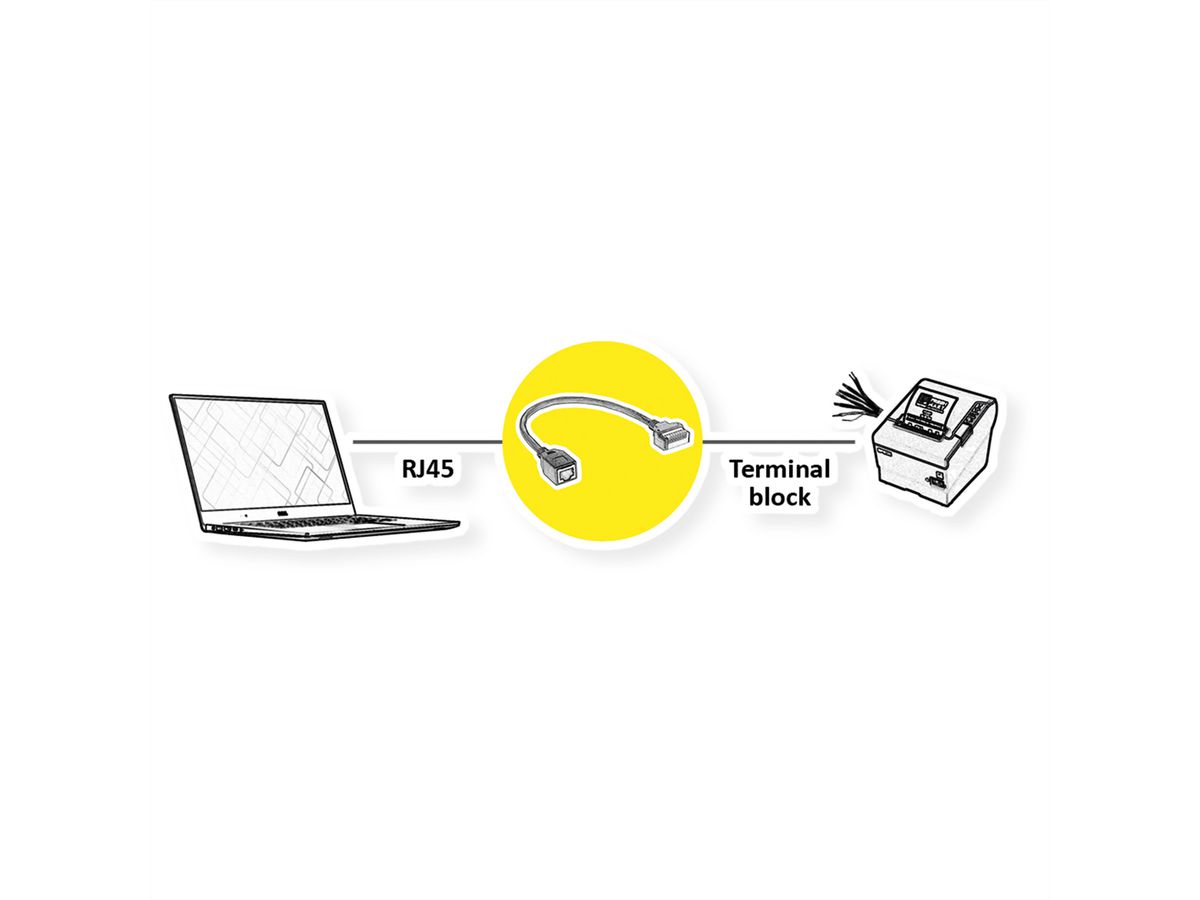 ROLINE Câble adaptateur RJ45 femelle vers bloc terminal, 15 cm