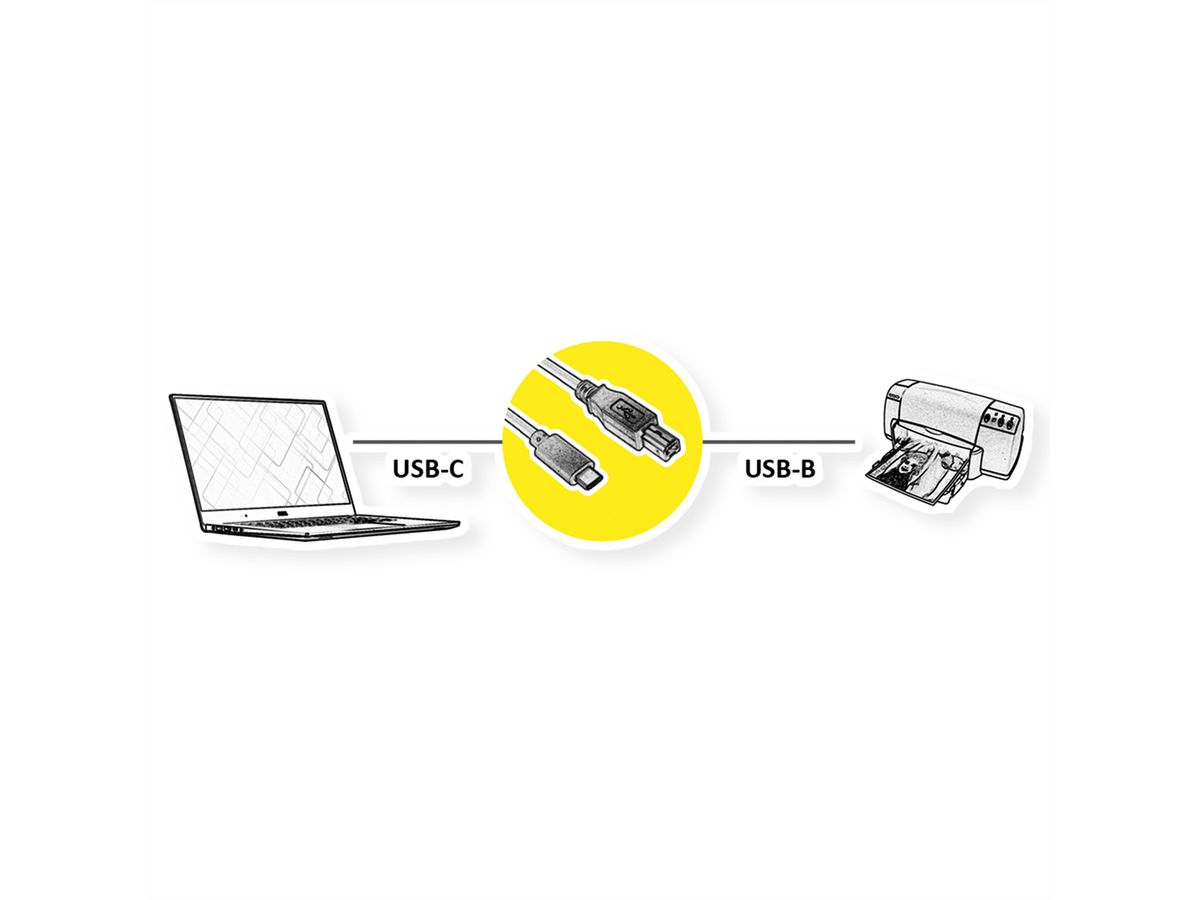 ROLINE Câble USB2.0 Type C - B, M/M, noir, 1,8 m