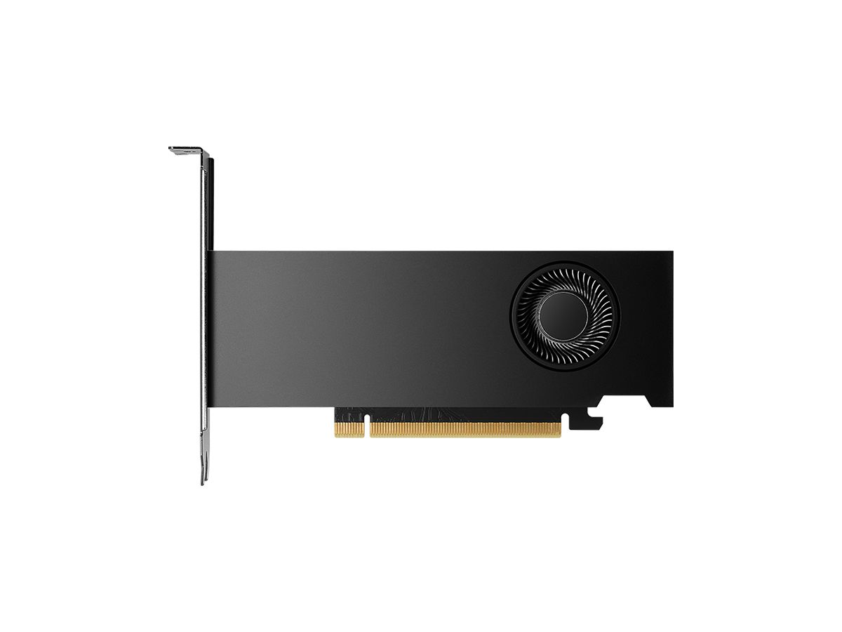 PNY NVIDIA RTX 2000 Ada Generation 16 Go GDDR6