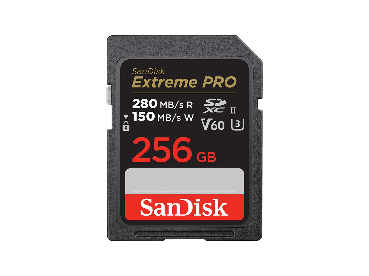 SanDisk SDSDXEP-256G-GN4IN mémoire flash 256 Go SDXC UHS-II Classe 10