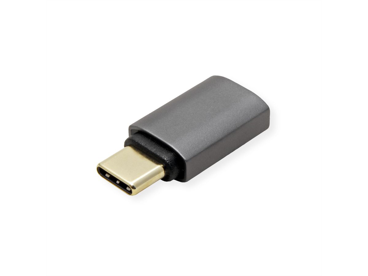 ROLINE Adaptateur USB4 Gen 3x2, Aluminium, Type C, M/F, argent