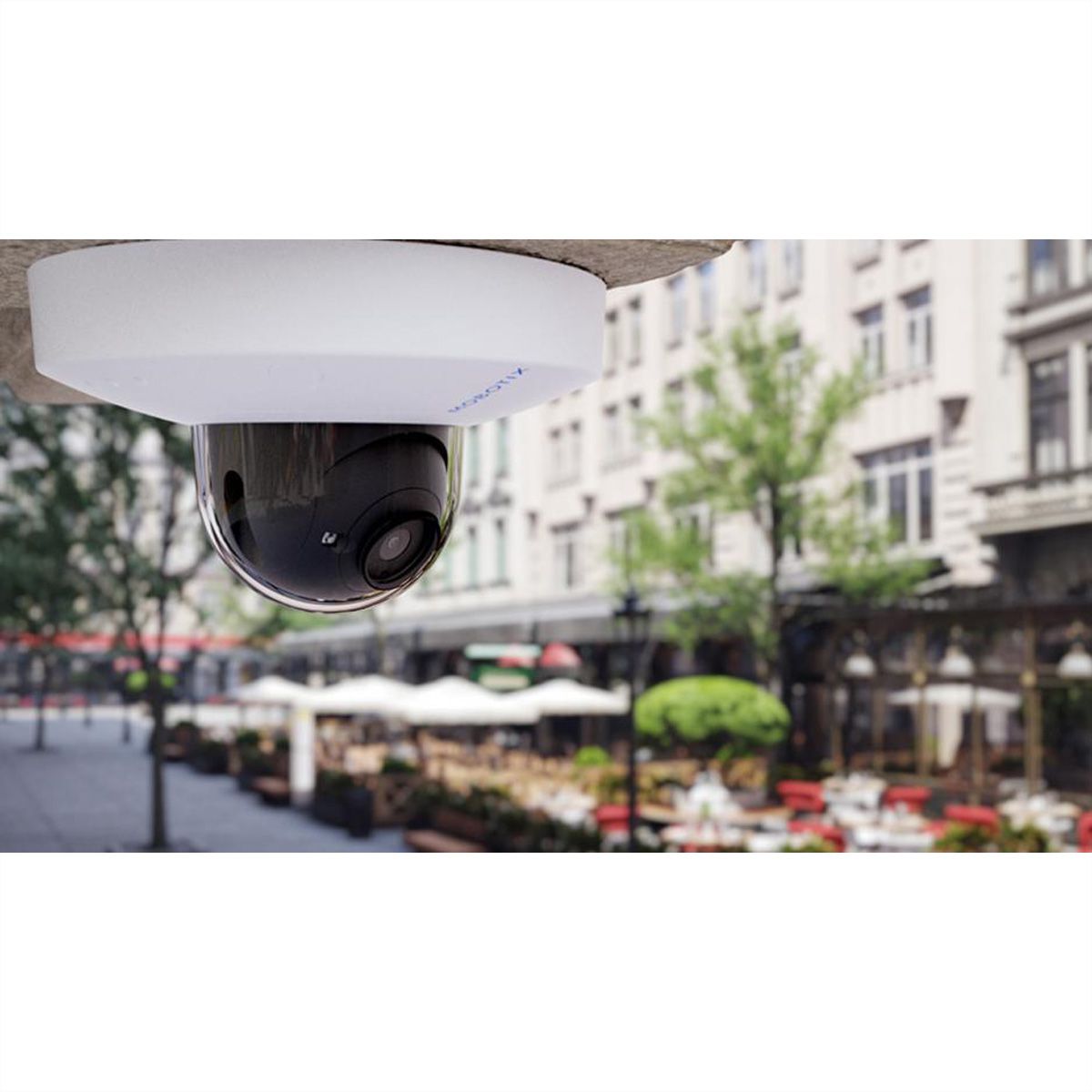 MOBOTIX D71B Caméra Dome 8 MP, 60°, IR-LED 30m