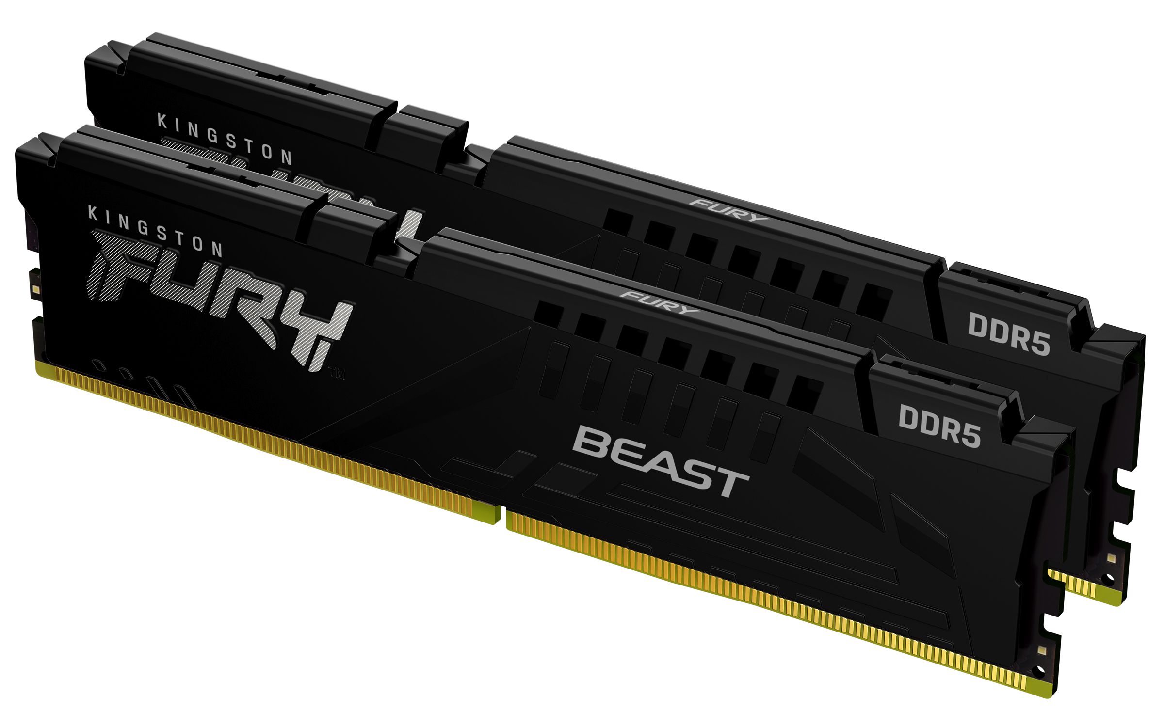 Kingston Technology FURY Beast 16 Go 5600 MT/s DDR5 CL36 DIMM (Kits de 2) Black EXPO