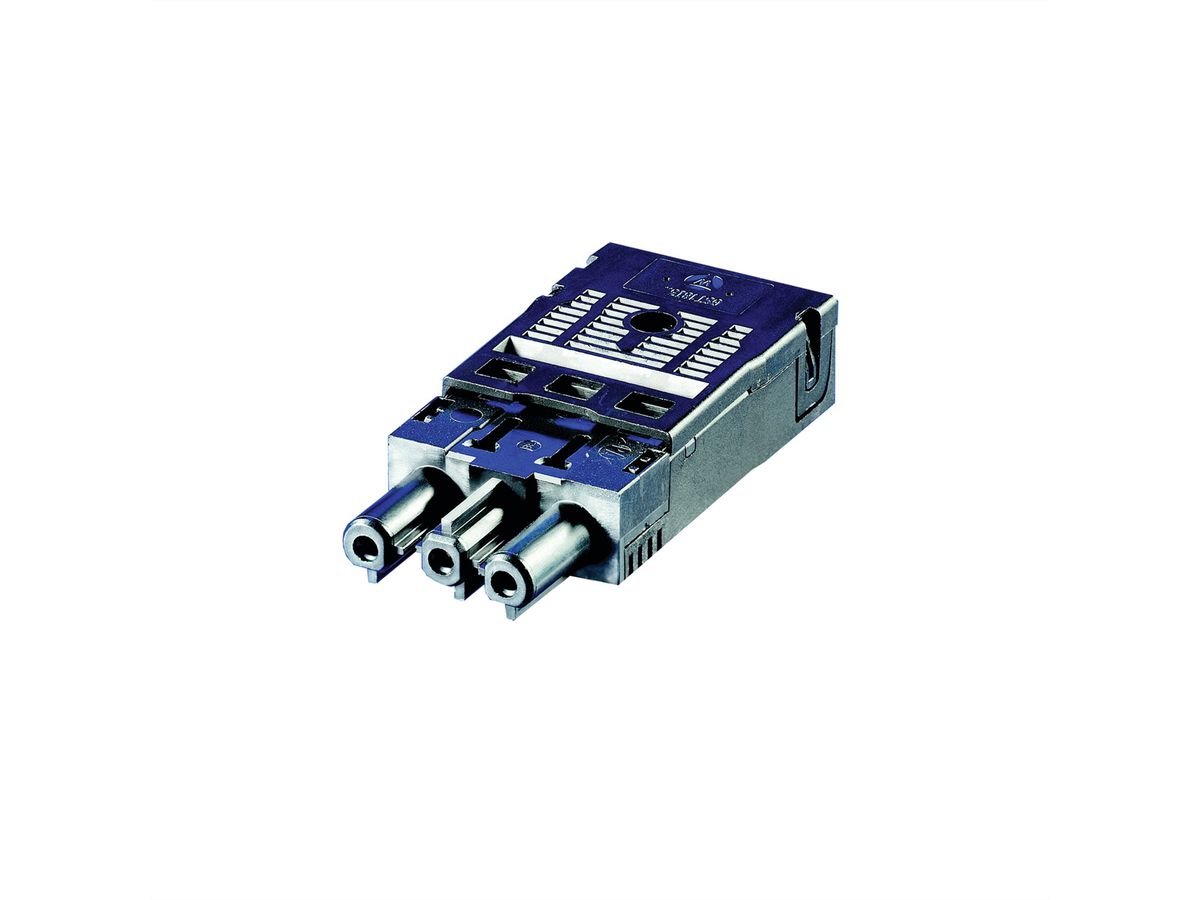 Connecteur femelle Wieland SCHROFF