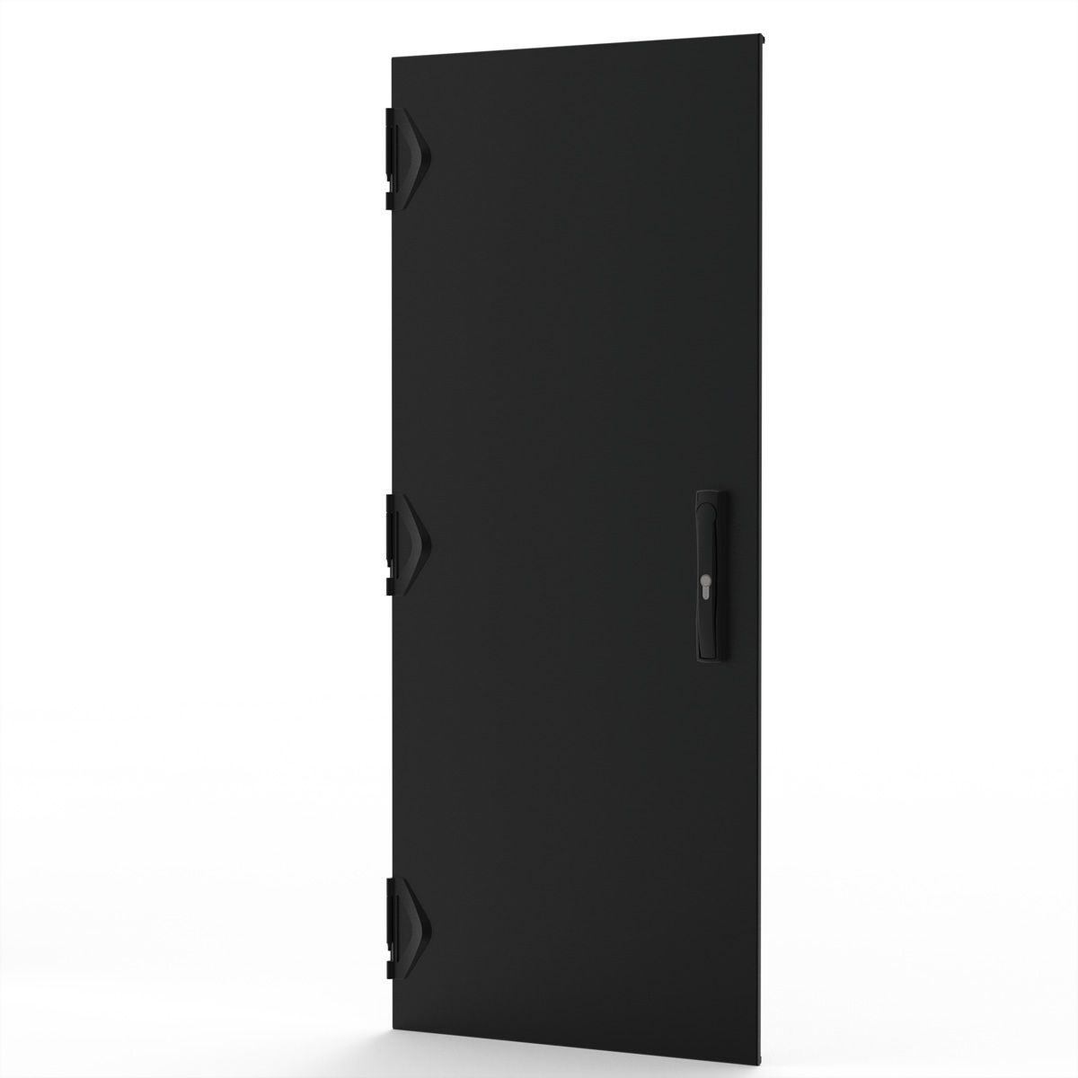 SCHROFF Porte acier CEM, IP55, multi-points