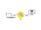 ROLINE Câble adaptateur type C - HDMI (AOC), 4K60, M/M, 30 m