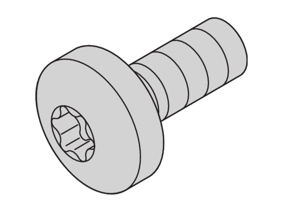 SCHROFF vis à tête cylindrique avec composé de blocage de filets, Torx, M4 x 10