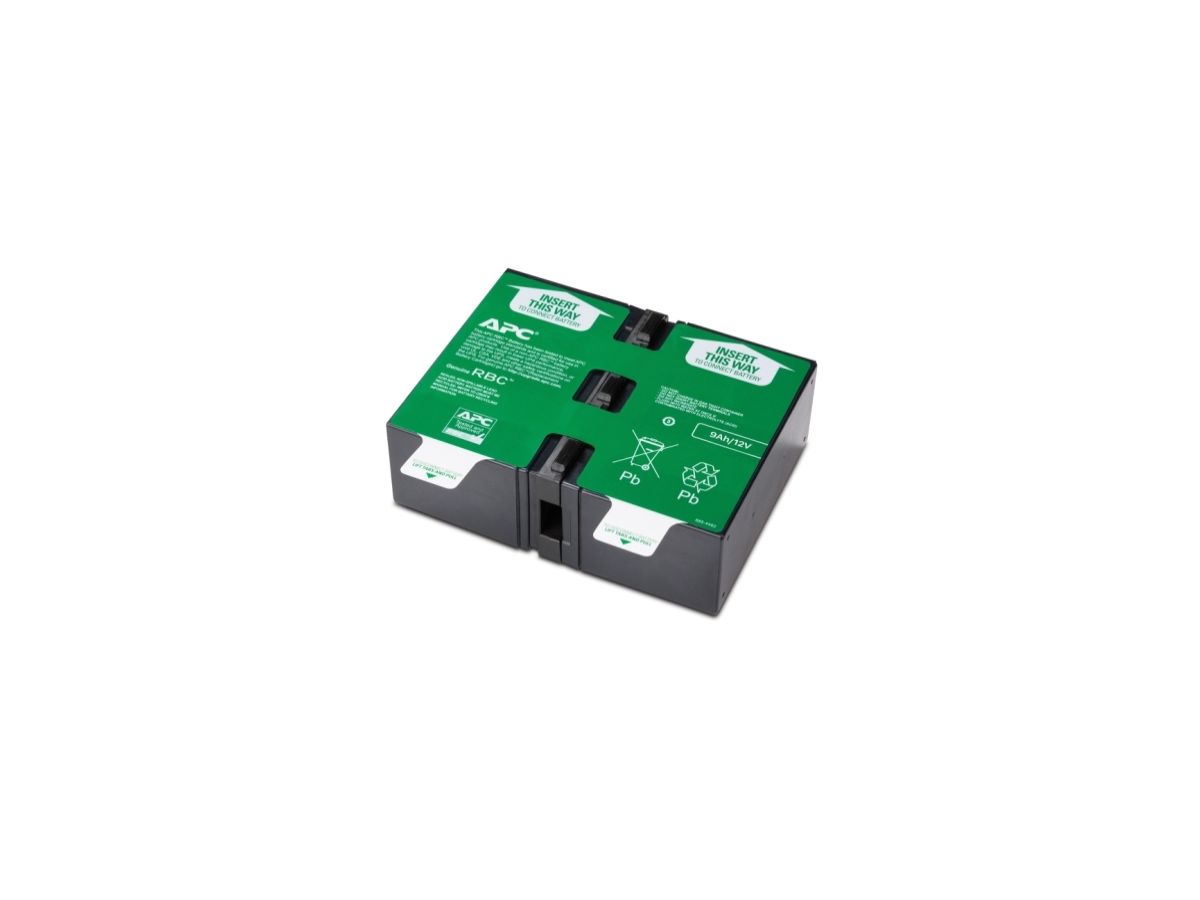 APC Cartouche de batterie de rechange APCRBC166 (OEM)
