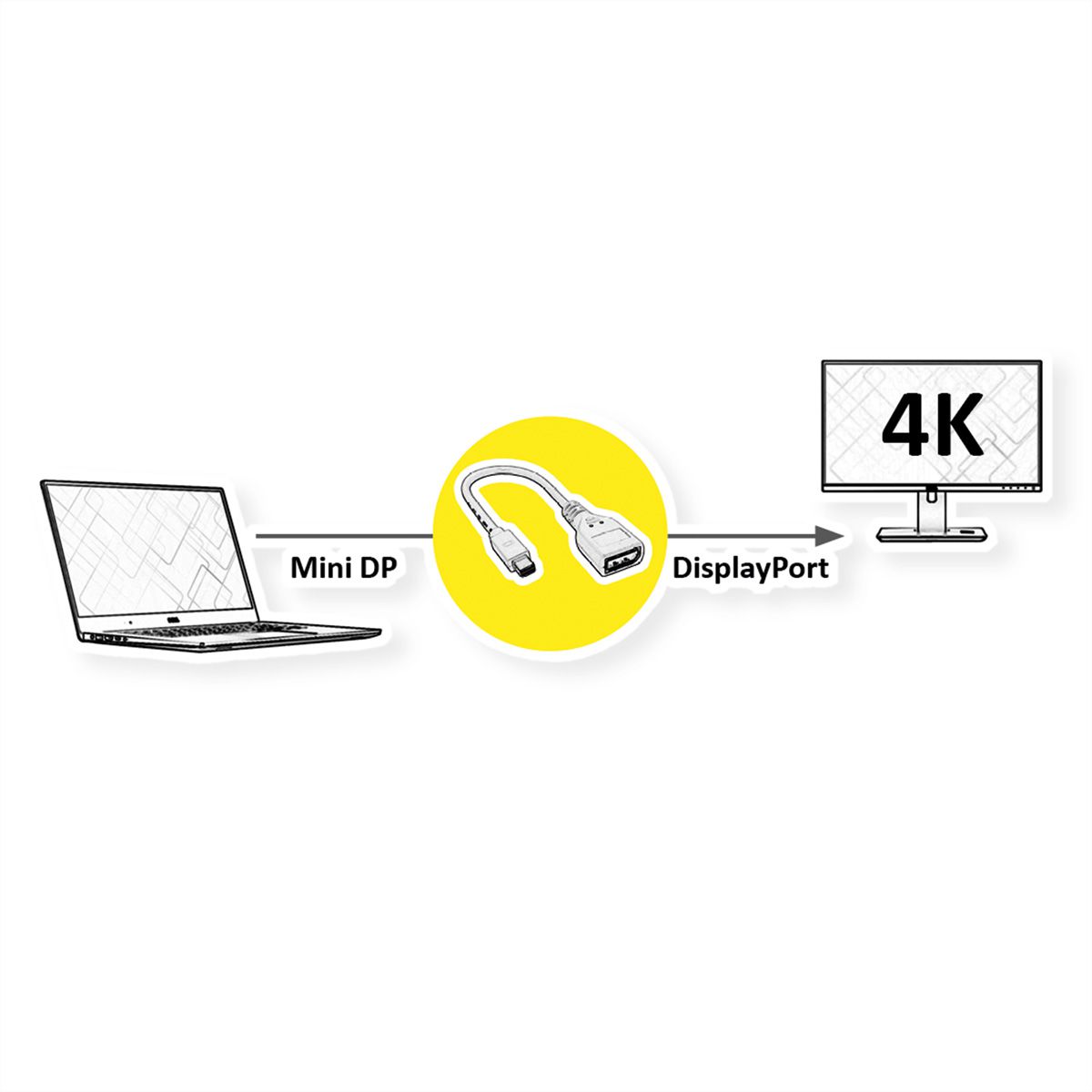 ROLINE Adaptateur DisplayPort, Mini DP M - DP F, 0,15 m