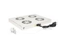 ROLINE 19" Unité de ventilation, 4 ventilateurs, Thermostat gris