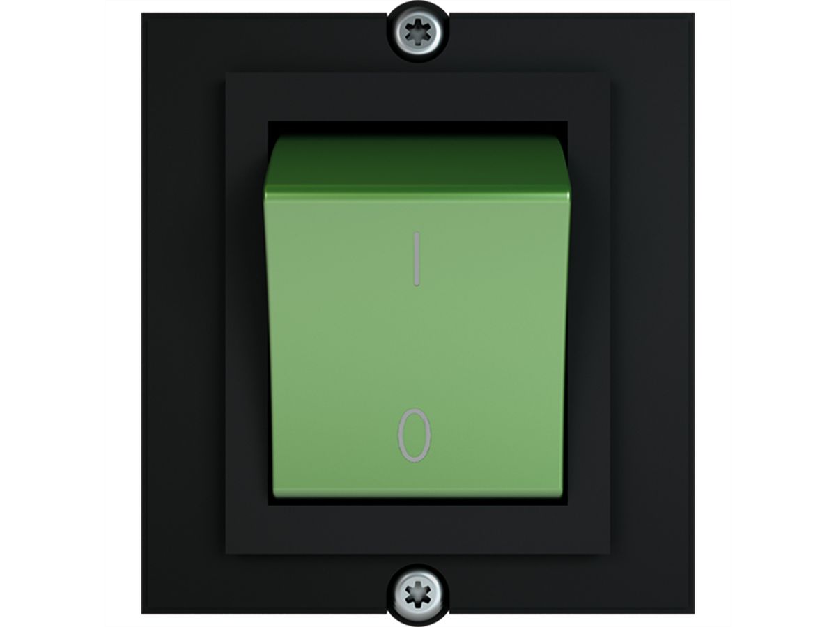 BACHMANN Cadre 1xinterr. 2 pôles vert, 1,0m fils ouverts